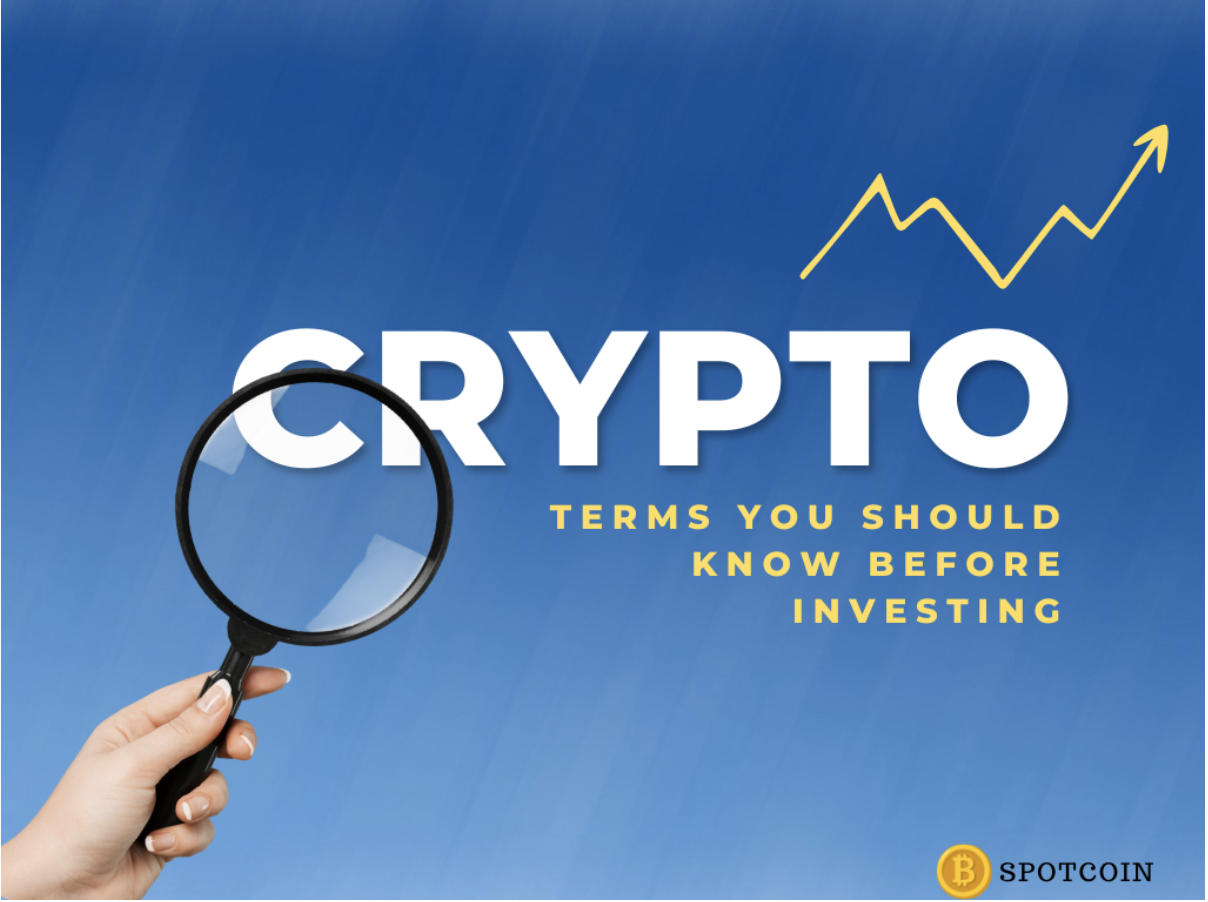 Crypto Terms You Should Know Before Investing - Spotcoin