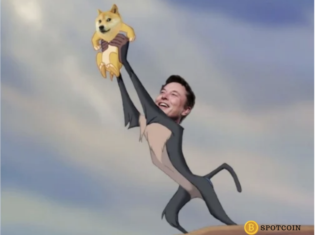 Elon Musk dogecoin meme
